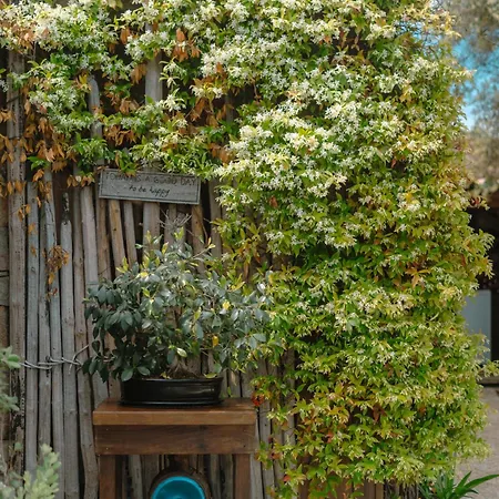 Kirssis Pensionat 4*