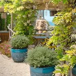 Kirssis Guest house