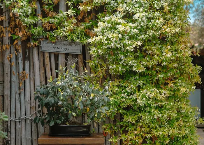 Kirssis Vendégház 4*